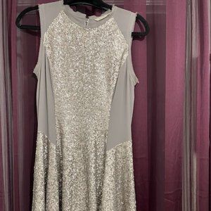 Rachel Roy Silver Sleeveless Sequin Flare Dress - Size 4